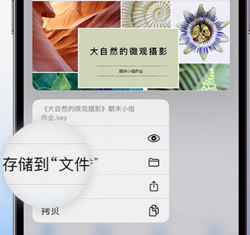 马村apple维修中心分享iPhone文件应用中存储和找到下载文件