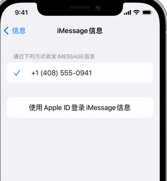 马村apple维修iPhone上无法正常发送iMessage信息 