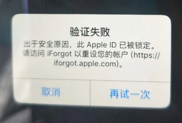 马村iPhone维修分享iPhone上正常登录或使用AppleID怎么办 