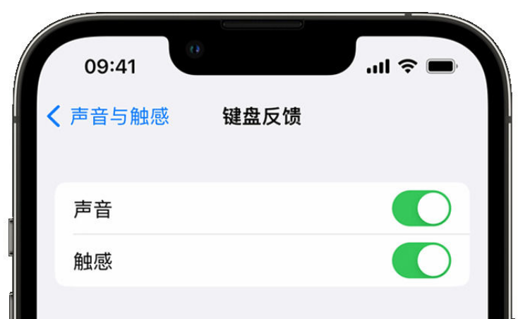 马村苹果手机维修分享iPhone 14触感键盘使用方法 