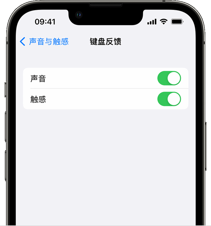 马村苹果14维修店分享如何在 iPhone 14 机型中使用触感键盘 