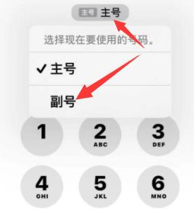 马村苹果14维修店分享iPhone 14 Pro Max使用副卡打电话的方法 