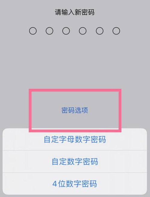 马村苹果14维修分享iPhone 14plus设置密码的方法 