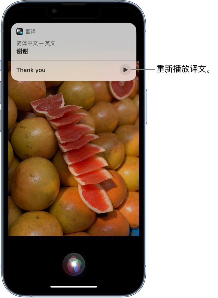 马村苹果14维修分享 iPhone 14 机型中使用 Siri：了解 Siri 能帮你做什么 