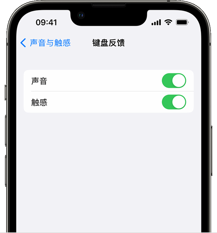 马村苹果14维修分享iPhone 14 系列机型如何开启键盘声音或触感反馈 