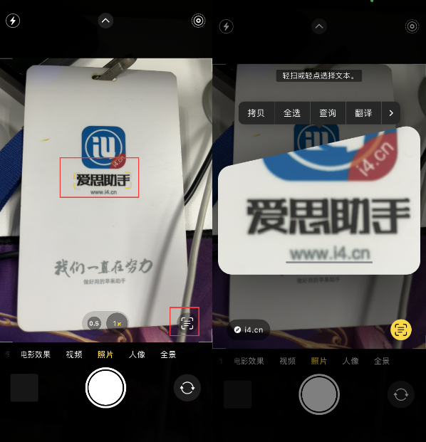 马村苹果手机维修分享升级iOS 16后如何通过相机翻译文本 