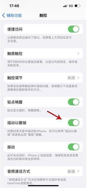 马村苹果手机维修分享iPhone手机如何设置摇一摇删除文字 