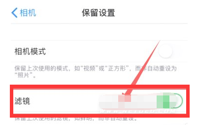 马村苹果13维修分享iPhone13拍照有绿点是怎么回事 