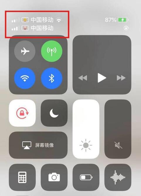 马村苹果手机维修分享为 iPhone 12 双卡设置标签 